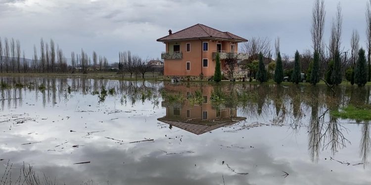 Shkodër/ Banesa, stalla bagëtish dhe mbi 3 mijë hektarë tokë ndodhen nën ujë