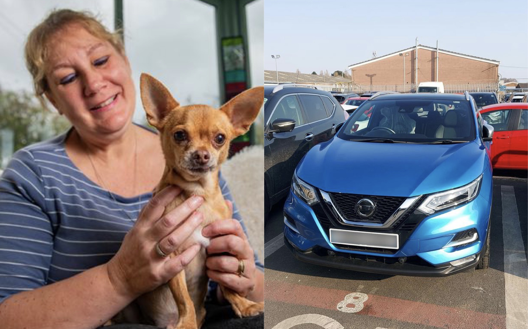 Gruaja shet makinën, shpenzon 17 mijë £ për t’i shpëtuar jetën qenit të saj
