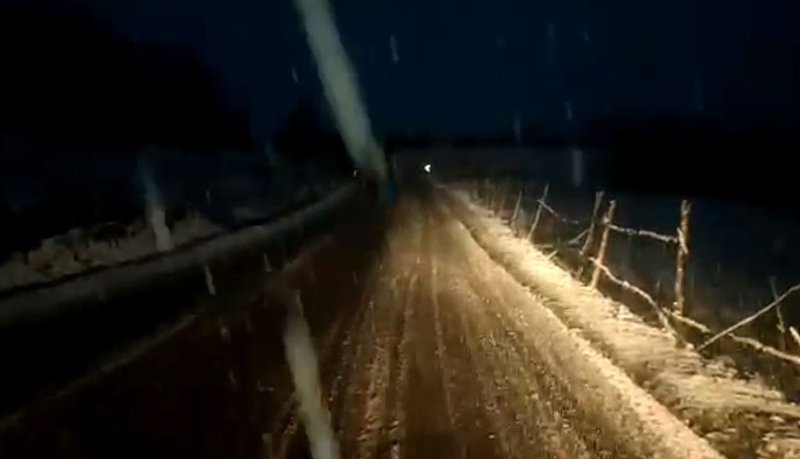 Reshjet e borës zbardhin Dibrën, vështirësohet qarkullimi në rrugën e Arbrit