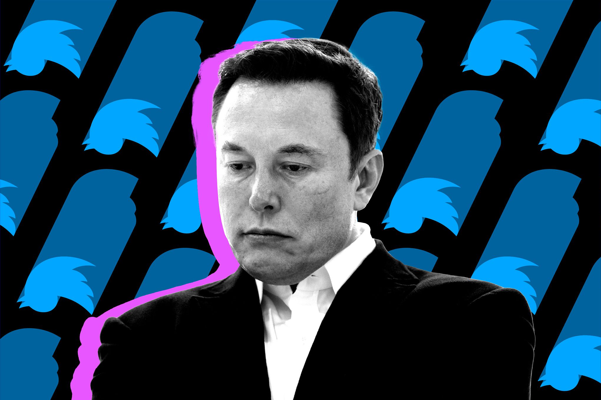 Njerëzit vendosin, Elon Musk pritet të largohet nga drejtimi i Twitter