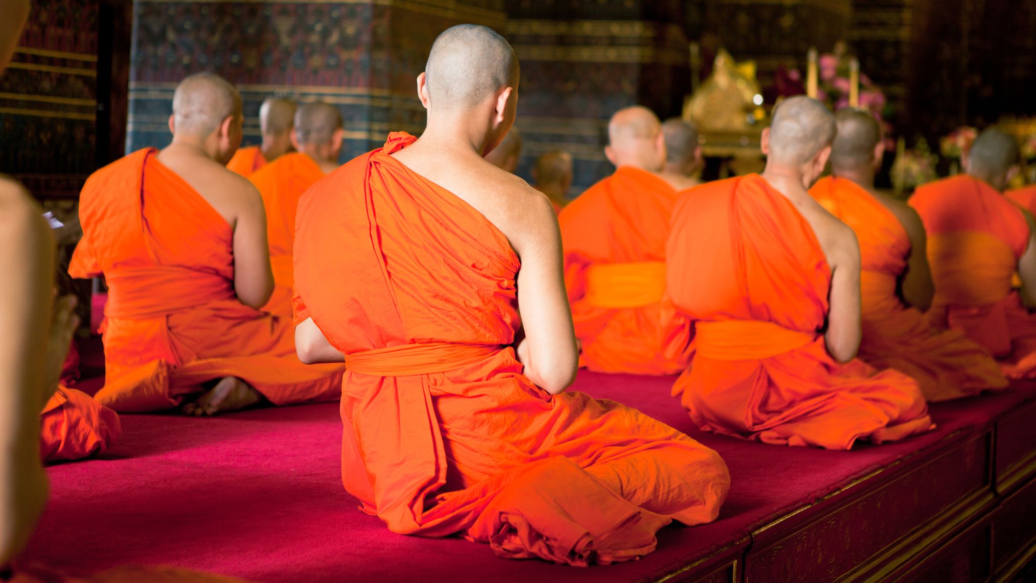 Tempulli tajlandez mbetet bosh, murgjit ‘pozitivë’ për drogë