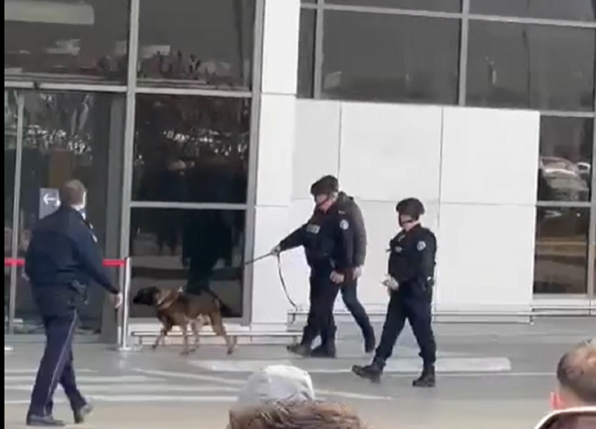 Njësia K9 në Aeroportin e Prishtinës, mbyllet përkohësisht