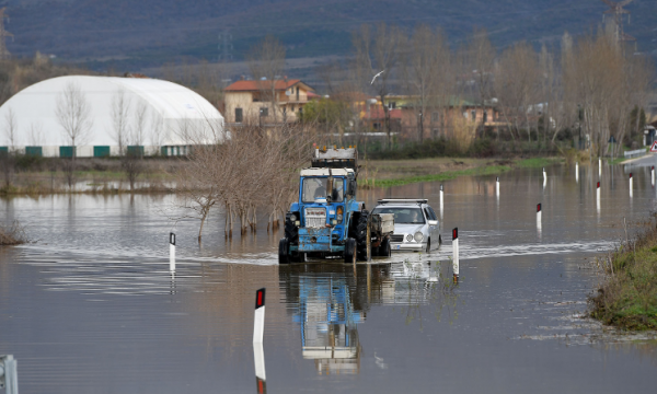 Banori i Lezhës pas përmbytjeve: Dëmi është i pallogaritur, 5 dynym ullinj në ujë