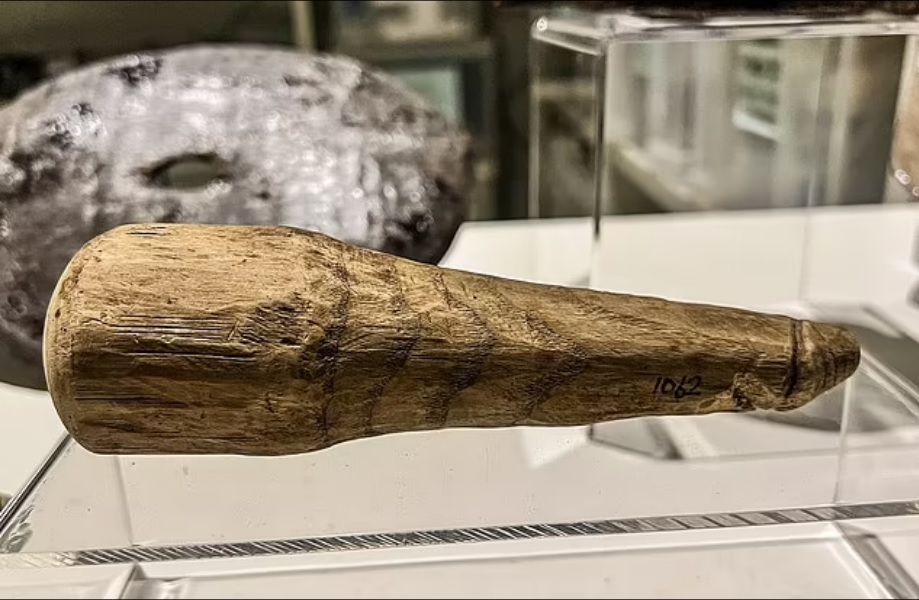 Gjendet lodra e parë e ѕeksit në histori: Një “vibrator” 2 mijë vjeçar