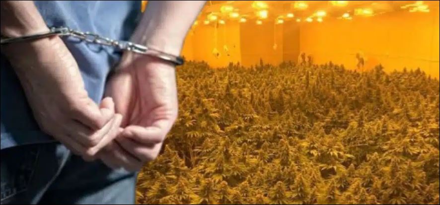 Droga e konfiskuar në Zubin Potok, Prokuroria Speciale ngritë aktakuzë ndaj gjashtë personave