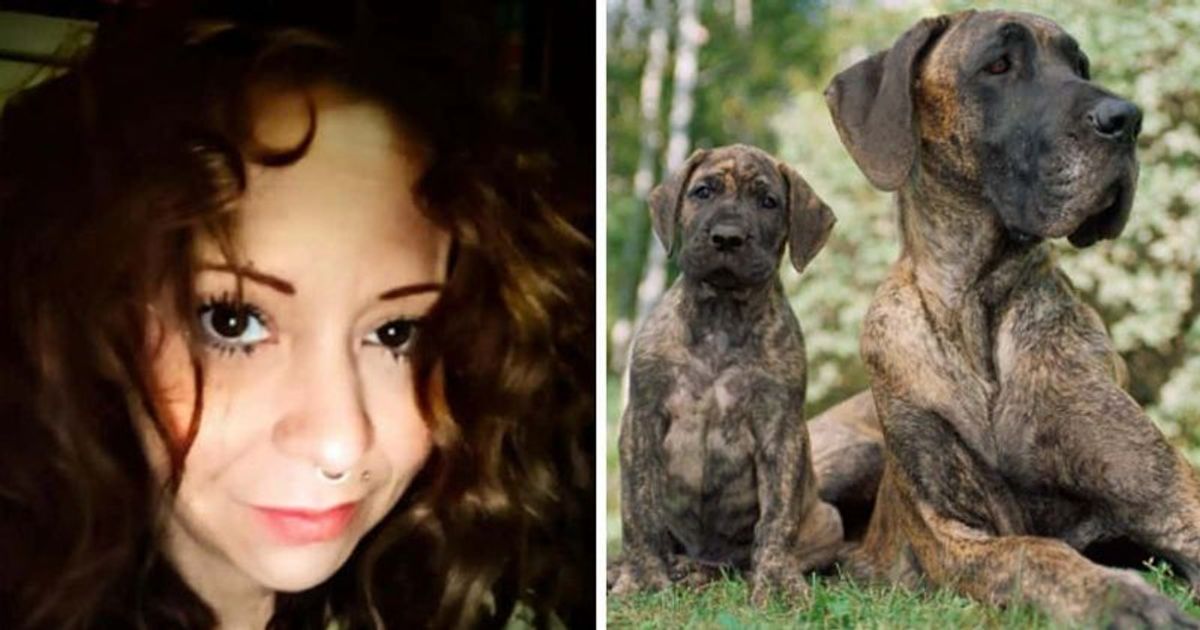 Nëna e dy fëmijëve sulmohet për vdekje nga qentë e fqinjit që shkoi t’i ushqente