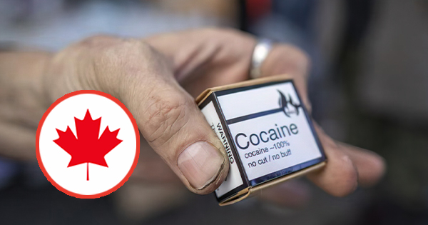 Firma kanadeze merr aprovimin nga Ministria e Shëndetësisë për të prodhuar dhe shitur kokainë