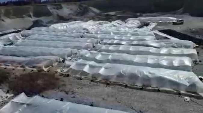 52-vjeçari dhe 3 punonjës të bashkisë Malësi e Madhe ndërtojnë sera me kanabis