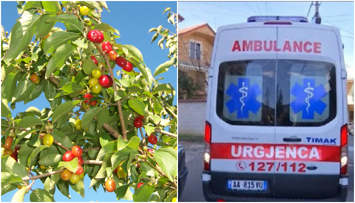 Burri në Gjirokastër i jep fund jetës, gruaja e gjen të varur në degën e thanës