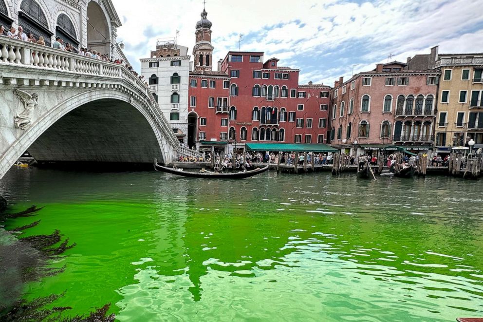 Zgjidhet misteri, pse uji në Venecia u bë papritur i gjelbër