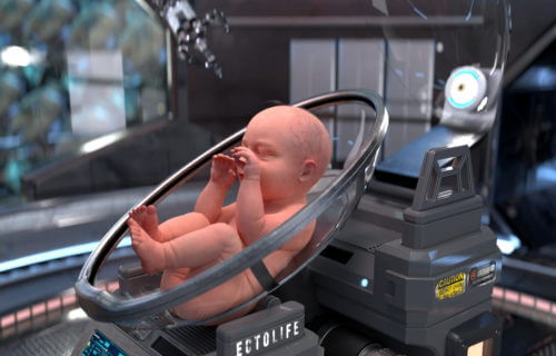 Foshnjat e rritura në laborator realitet në vitin 2028