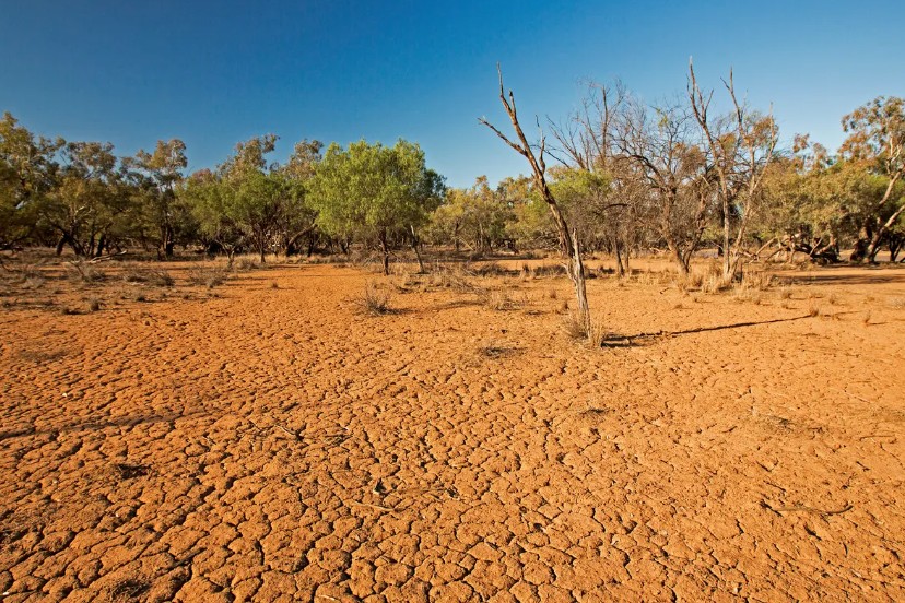 OKB paralajmëron botën për “El Ninjon”, pritet të sjellë temperatura më të larta