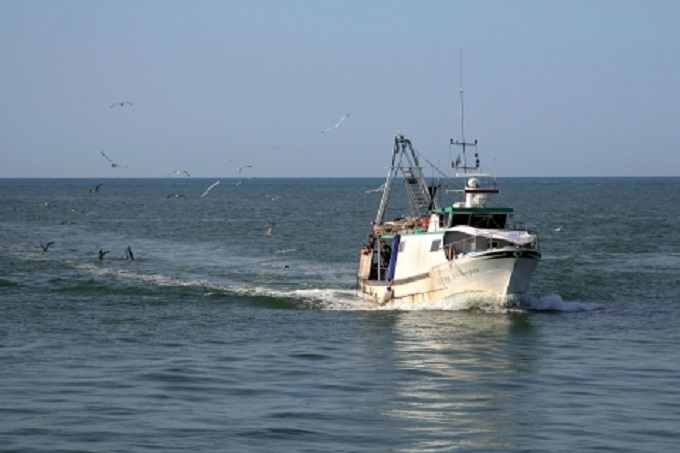 Tjetër incident në Adriatik, anija angleze godet peshkarexhën “Perëndesha”