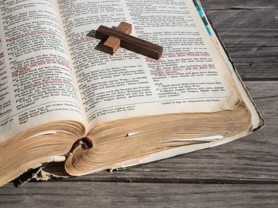 SHBA/ Shkollat ​​fillore dhe të mesme ndalojnë Biblën për ‘vulgaritet dhe dhunë’
