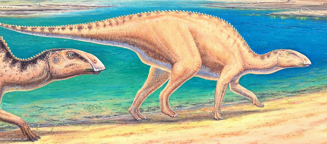 Mbetje të dinosaurve janë zbuluar në Kili