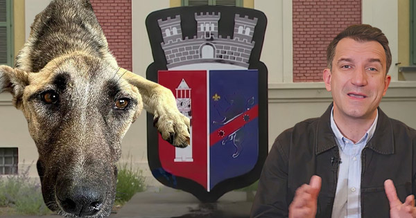 Erion Veliaj po vret qentë endacakë të Tiranës, streha e tij i lë pa ushqim dhe kujdes shëndetësor