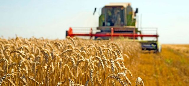 Alarm në BE/ Thatësira “përvëlon” thuajse gjysmën e tokave të prodhimit të ushqimit
