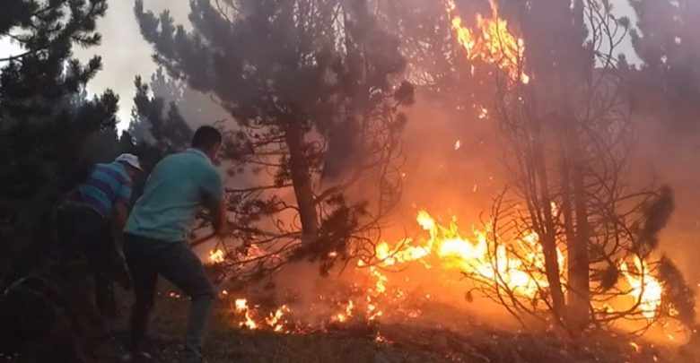 Vazhdojnë zjarret në Maqedoni, aktive janë shtatë zjarre