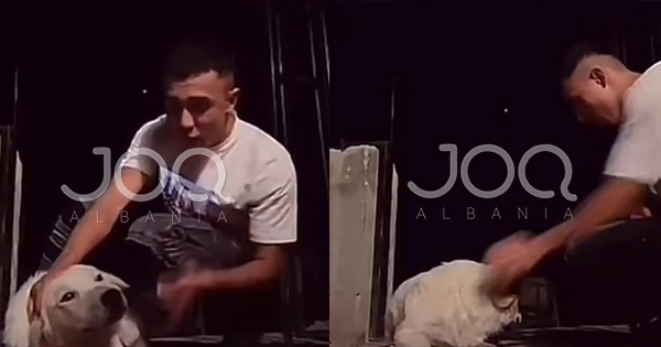 “Valmir Bossi keqtrajton qenin për lojë në TIKTOK, e godet me shkelm”