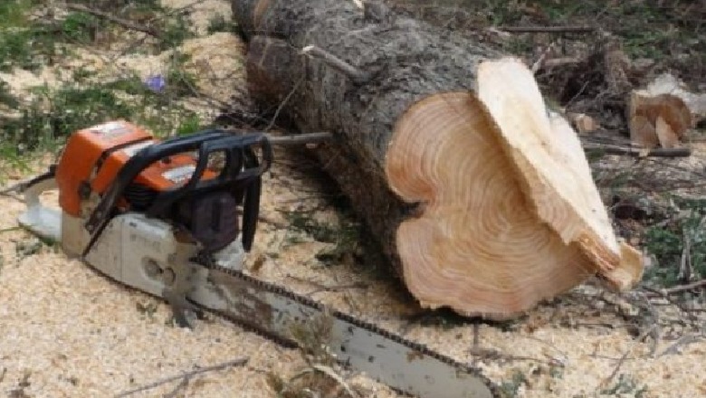 Vdes një person në Istog, i bie lisi duke prerë dru