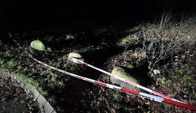 17-vjeçari shqiptar pranoi autorësinë e krimit, viktima bashkatdhetar i tij