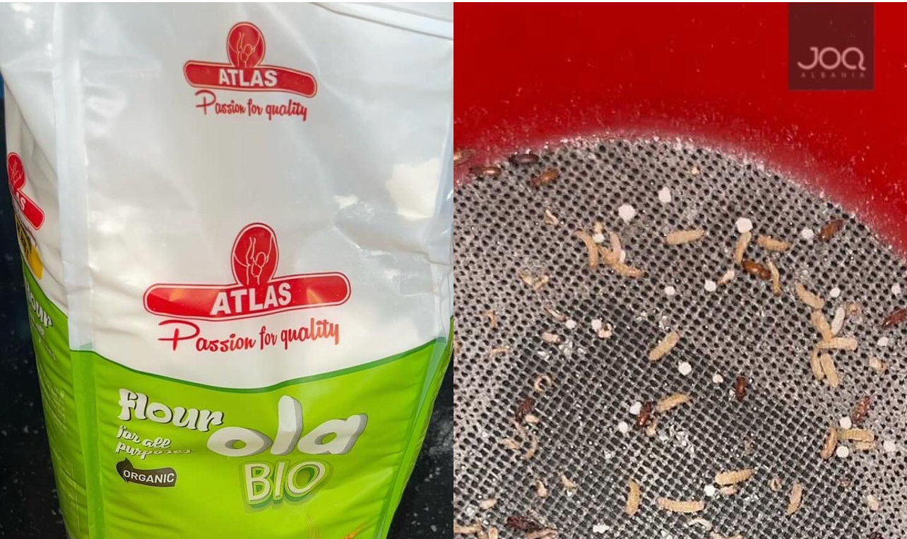 Qytetarja: Pakoja e miellit Ola me krimba dhe miza!