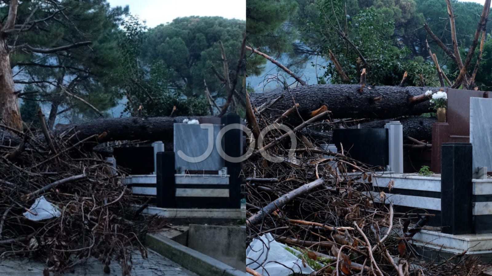 Prej më shumë se një javë, varrezat në Tufinë ‘të pushtuara’ nga pemët që rrëzoi stuhia