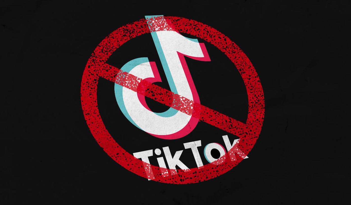Nepali ndalon “Tik Tok”-un: Prish harmoninë sociale dhe sjell dëme për shoqërinë