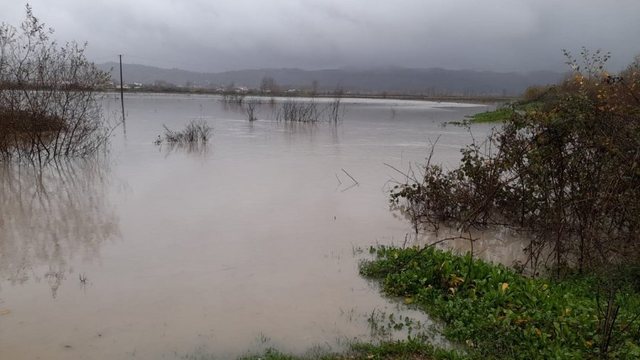 Reshjet intensive të shiut, lumi Ishëm del nga shtrati