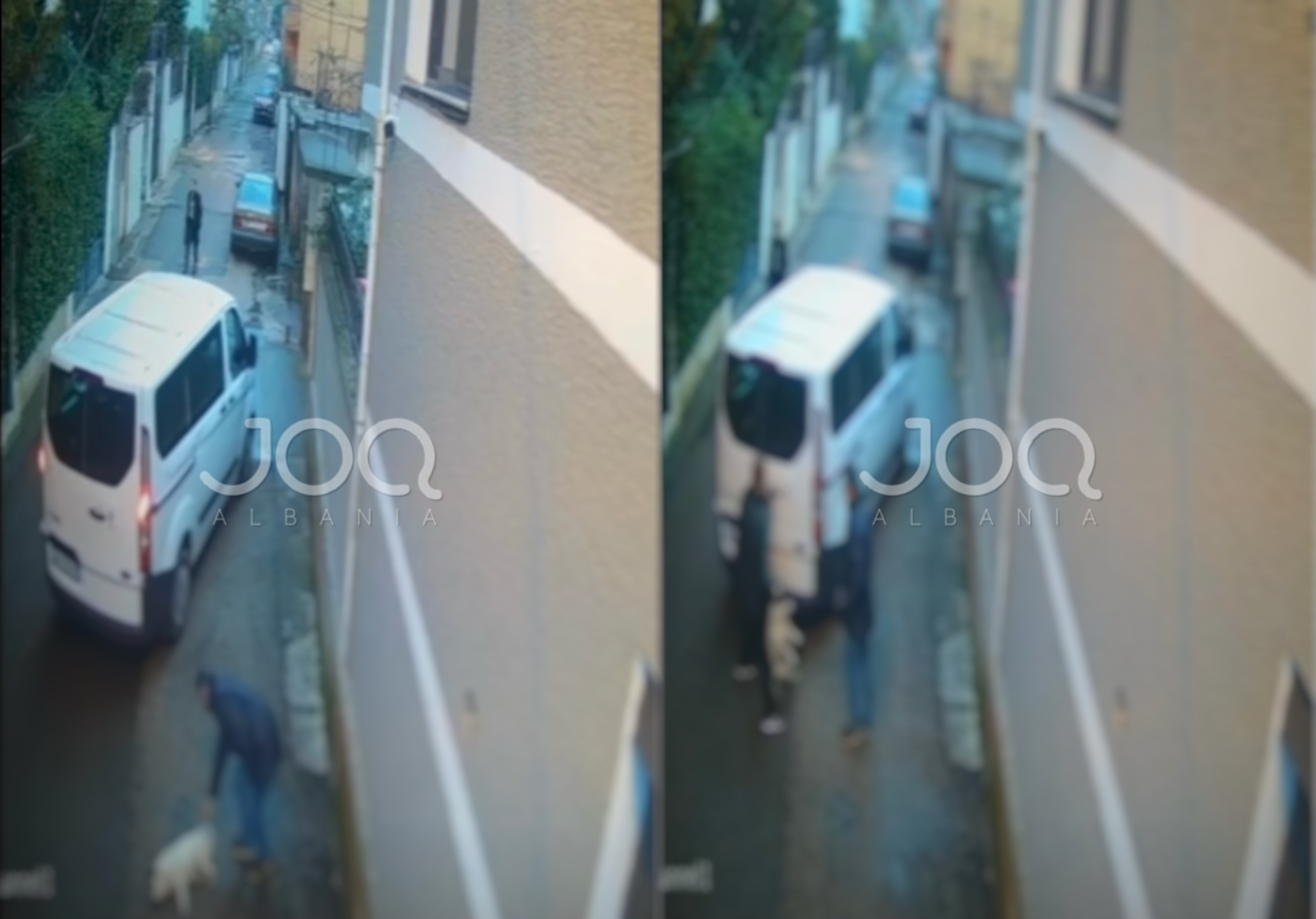 “Punonjësit e bashkisë Tiranë qëllojnë qenin dhe e marrin me furgon, pronarja kërkon kthimin e tij”