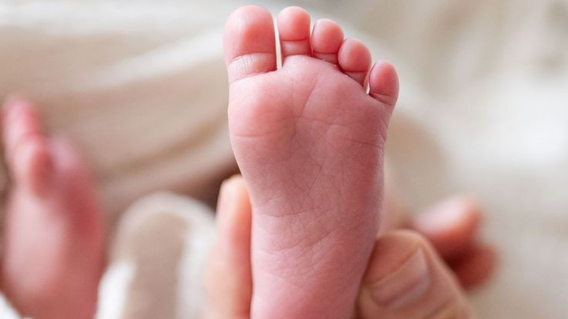 Shkodra ka numrin më të ulët të lindjeve në 20 vite
