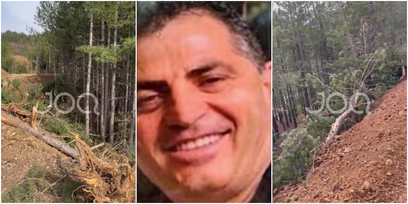 “Bashkia i ka dhënë lejen, Anton Gjinaj po shkatërron pyjet e Fushë-Arrëzit për HEC-et e tij”