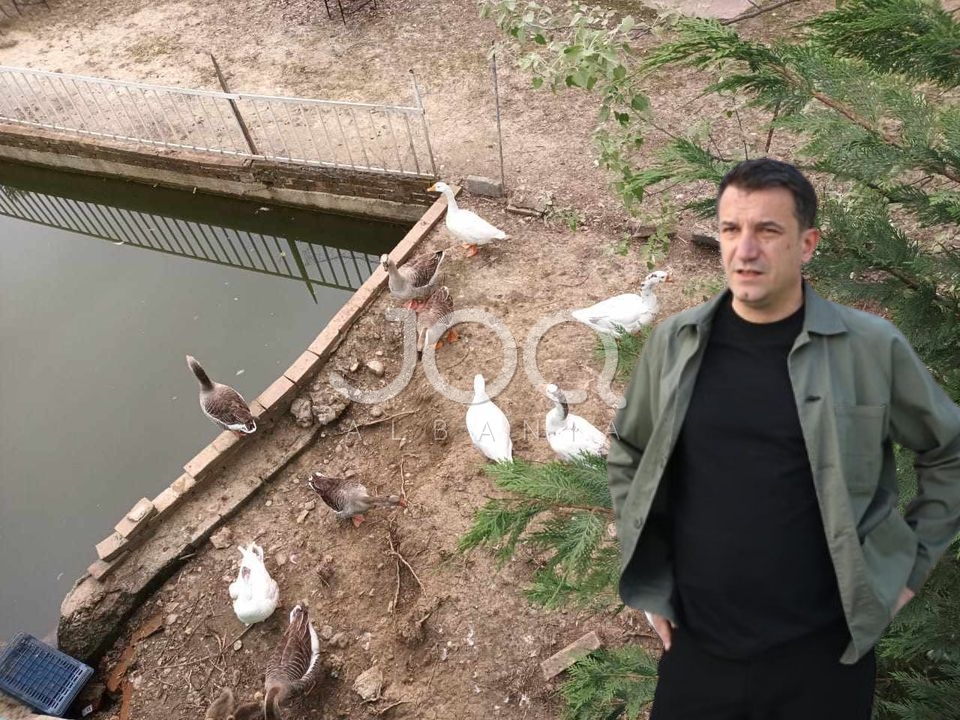 “Pas propagandës mjelmat zhduken nga liqeni dhe bëhen me pronar, Bashkia Tiranë të marrë masa”
