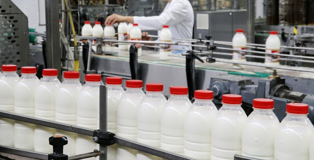 Vetëm 5% e qumështit që prodhohet në vend testohet