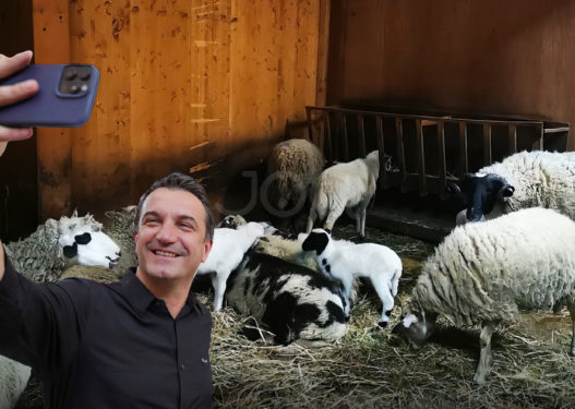 Pas “show” të Ramës, Veliaj vjedh 60 MLN të tjera për Kopshtin Zoologjik 2 vjet pas inaugurimit