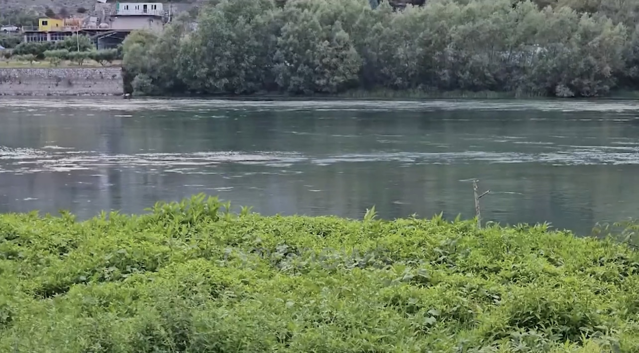 “30 burra e panë, asnjëri nuk hyri të shpëtonte gruan që u vetëhodh në Bunë!”