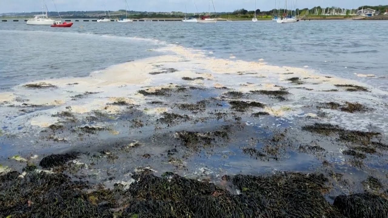 Kokaina dhe ekstazia mbulojnë disa zona bregdetare të Britanisë së Madhe