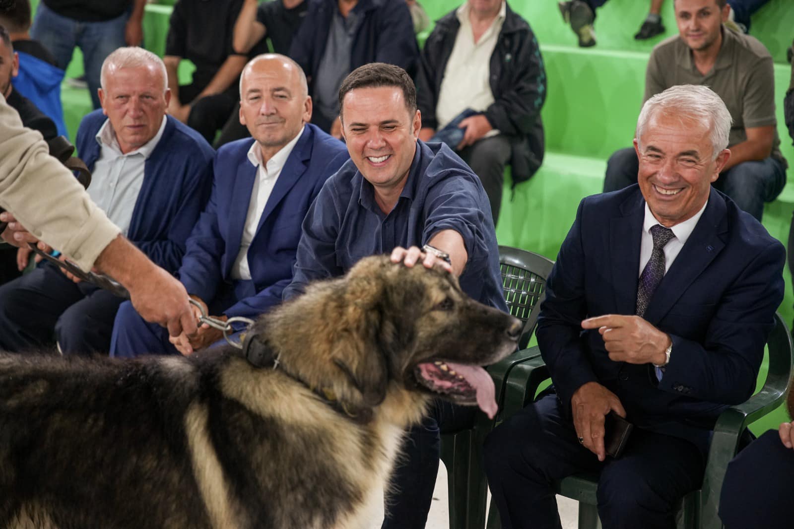 Abdixhiku e vazhdon traditën e Rugovës, me qenin ilir të Sharrit