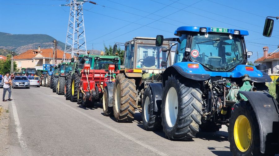 Prodhimet stok pa shitur, fermerët e Maliqit në protestë