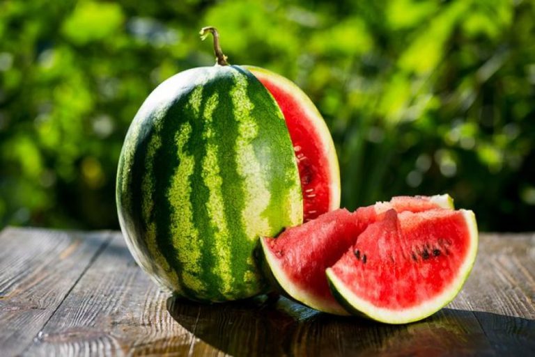 Zbuloni përfitimet e farave të shalqirit në shëndetin tonë