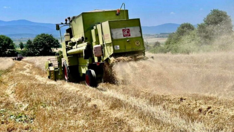 DPHM: Vala e të nxehtit ndikon negativisht në të gjitha kulturat bujqësore