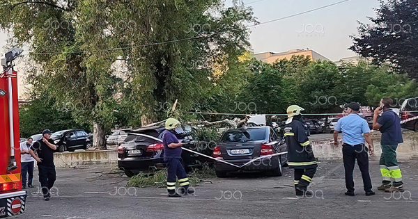 Pasi i “rropën„ te Onkologjiku, hallexhinjve u bie dhe pema sipër makinave