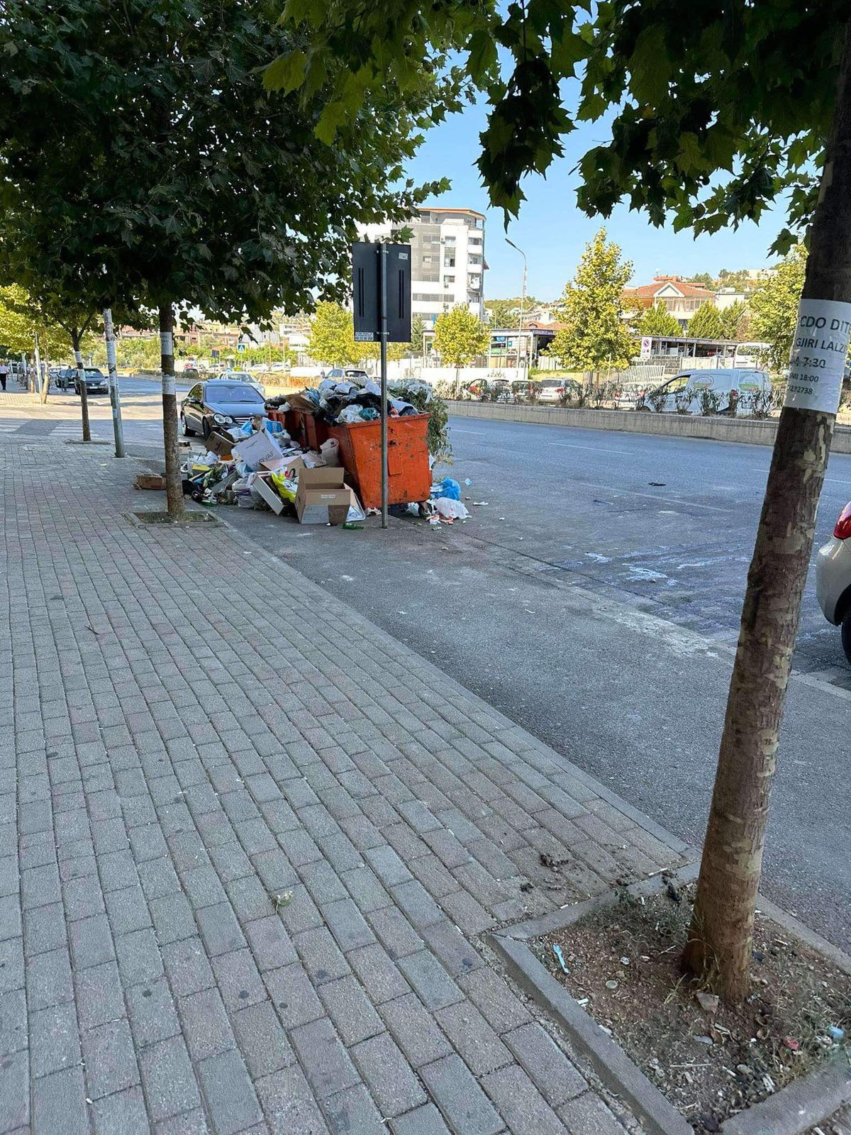 Situatë alarmante në Yzberisht, qytetari: koshat nuk janë pastruar prej kohësh