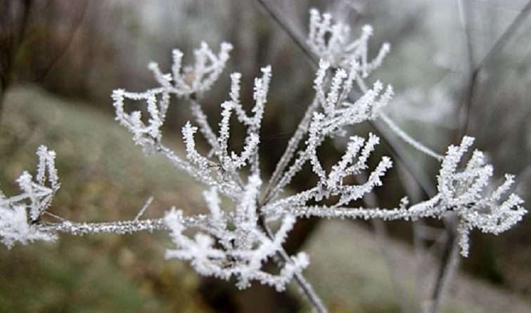 Temperatura befasuese gjatë javës së ardhshme