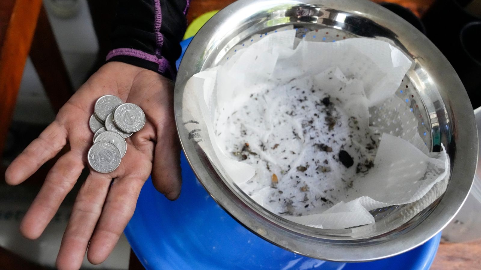 1 peso për 5 mushkonja të vrara, qytetarët në Filipine shpërblehen nëse vrasin mushkonjat