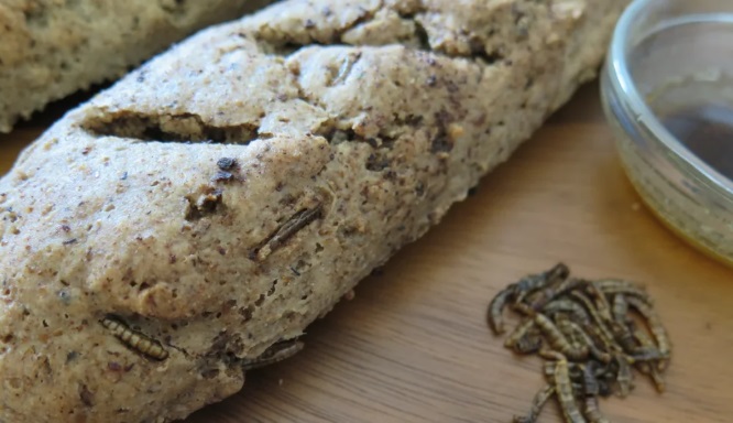 BE miraton në heshtje shtimin e krimbave e insekteve në bukën e qytetarëve të vet