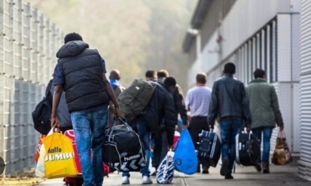 Shqipëria plaket e shpopullohet, lindjet ranë me 10-19% në zonat më të prekura në 2024