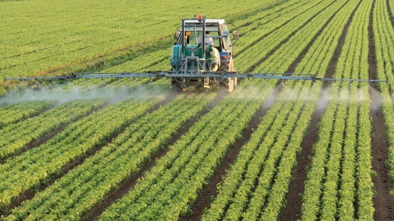 Pagat e ulëta në bujqësi, industri dhe shërbime largojnë fuqinë punëtore