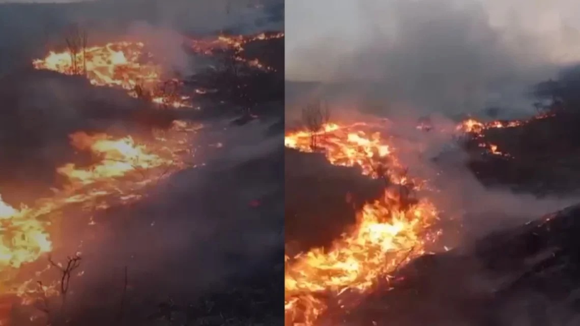 Mali i Moravës përfshihet nga flakët masive
