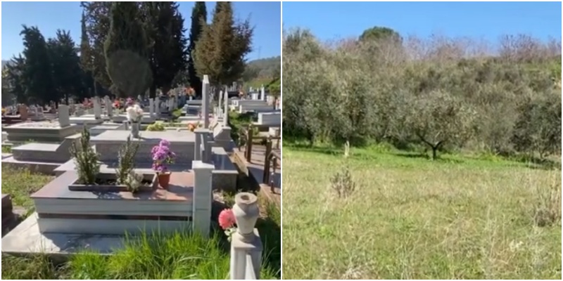Shteti u merr tokën bujqësore për varrezë fshatarëve në Fier: Po shkulin ullinjtë, me çfarë të ushqehemi?